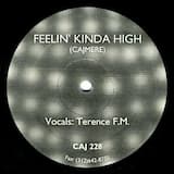 Feelin' Kinda High (vocal mix)