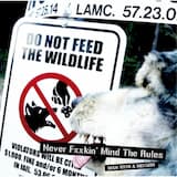 NEVER FXXKIN’ MIND THE RULES