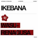 Wasurenagusa (Petrichord lofi remix)