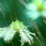 𝓂𝑜𝓇𝓃𝒾𝓃𝑔 𝓂𝑒𝓂𝑜𝓇𝒾𝑒𝓈