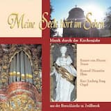 Komm, süßer Tod, komm, sel'ge Ruh! (BWV 478)