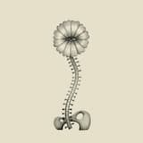 We Are Not Machines: Body Made of Stars