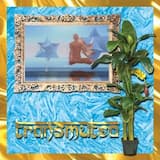 Earth Plane Frequency Hub