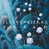 𝙨 𝙡 𝙪 𝙨 𝙝 𝙘 𝙚 𝙨 𝙩 𝙧 𝙖 𝙡 𝙙 𝙧 𝙚 𝙖 𝙢