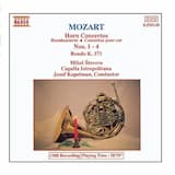 Concerto for Horn No. 1 in D major, K. 386b/514: I. Allegro