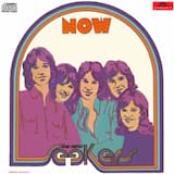 Pinball Wizard / See Me Feel Me