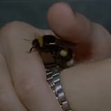 Lowride / Unthinkable (CFCF mix)