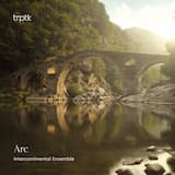 Nonet, Op. 38: IV. Adagio - Allegro