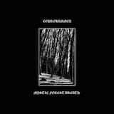 Mystic Forest Breath