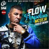 Flow perpetuo