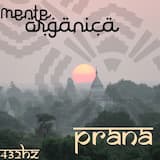 Prana (original mix)