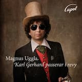 God afton vackra mask