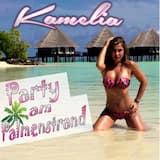 Party am Palmenstrand (Sommer Mix)