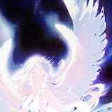 The Wings of my Angel Feel Cold