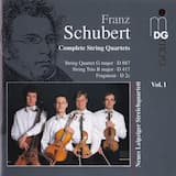 Quartet in G major, D. 887: I. Allegro molto moderato