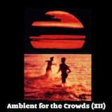 Ambient for the Crowds (XII)