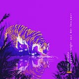 Y.F.B.R (Your Favorite Bedtime Rapper)