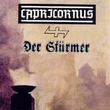 Sun Wheel on the Helmet of Steel