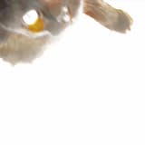 This Pointless Exercise