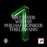 Symphony no. 1 in C minor: I. Allegro – Langsam – Tempo I