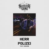 Herr Polizei