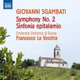 Symphony No. 2 in E-Flat Major (Reconstr. R. Trübger): I. Andante sostenuto - Agitato