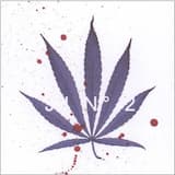 Things Will Never Be the Same Again