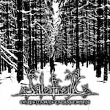 Coups d'Ailes Cathartiques