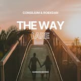 The Way I Are (Techno remix)