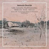 Cello Concerto in A Major, B. 10: I. Andante - Allegro assai