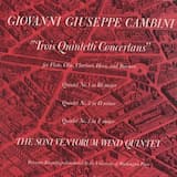 Wind Quintet no. 1 in B-flat major: I. Allegro maestoso