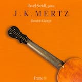 Lied ohne Worte (Song without words), Andantino