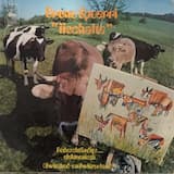 Dr Rhythmus-Jodel (für d'Bea)