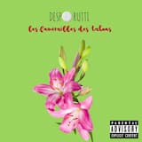 Salomon, seul au monde