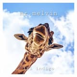 mr. melvin