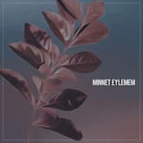 Minnet Eylemem (Serhat Durmus Remix)