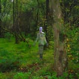 Jānī - ジャーニー