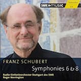 Symphony No. 6 in C Major, D. 589: I. Adagio - Allegro