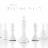 The Black Jack White