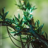 A Long Way From Home (Straight From DAT mix)