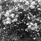 Öltöztessél fehérbe