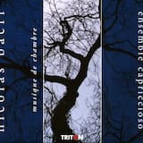 Concerto da camera, op. 61: I.