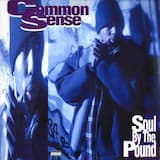 Soul by the Pound (Thump mix)