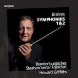 Symphony No. 1 in C Minor, Op. 68: I. Un poco sostenuto - Allegro