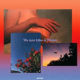 Lilies Around Your Neck