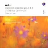 Concerto for Clarinet and Orchestra no. 1 in F minor, op. 73: Allegro