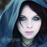 Snow Between the Trenches