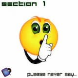 Please Never Say... (radio mix)