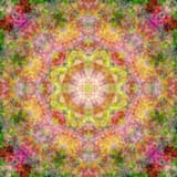 ✿Heavenly Light Flower Waltz✿