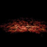 Founded on Curiosity